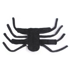 Fantastic Spider Costume For Your Dogs