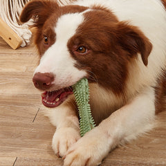 Amazing Chew Toy For Dog Tooth Cleaning