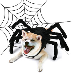 Fantastic Spider Costume For Your Dogs
