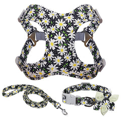 Most Beautiful And well Designed Leash Perfect For Your Dogs