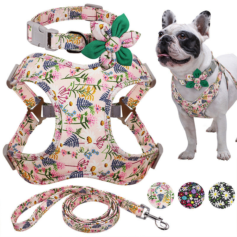Most Beautiful And well Designed Leash Perfect For Your Dogs
