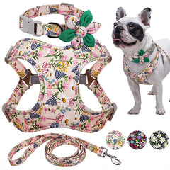 Most Beautiful And well Designed Leash Perfect For Your Dogs
