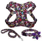 Most Beautiful And well Designed Leash Perfect For Your Dogs