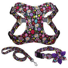 Most Beautiful And well Designed Leash Perfect For Your Dogs