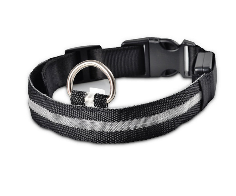 Fantastic Dog Leash With Built-In Night Safety Glow Lights