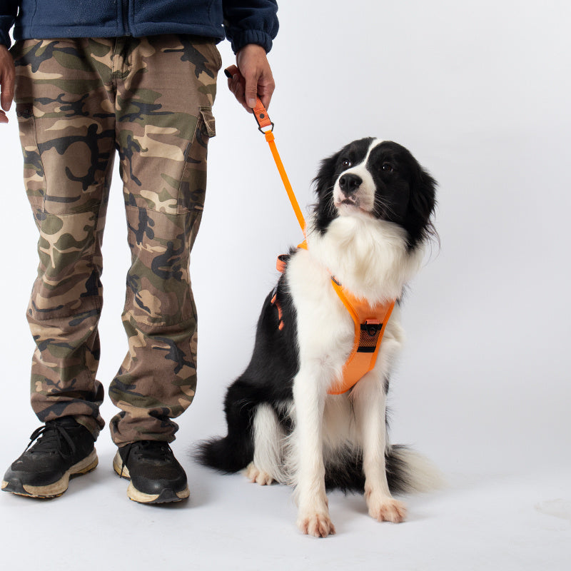 Fantastic And Portable Outdoor Backpack For Your Dogs