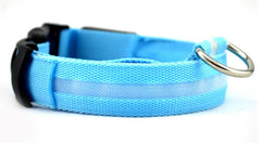Fantastic Dog Leash With Built-In Night Safety Glow Lights