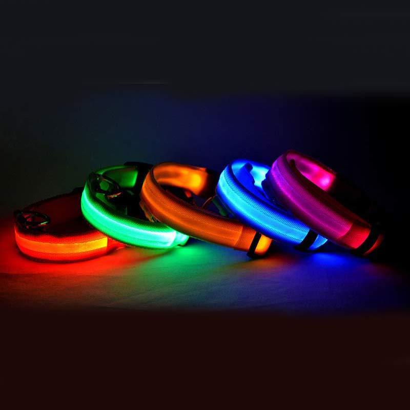 Fantastic Dog Leash With Built-In Night Safety Glow Lights