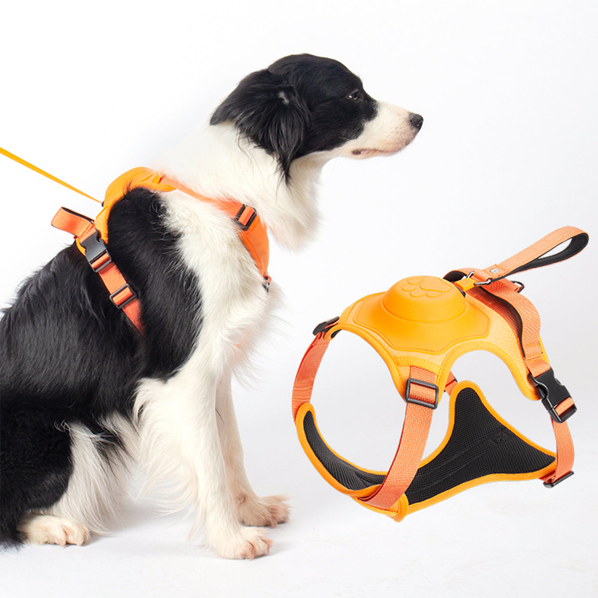Fantastic And Portable Outdoor Backpack For Your Dogs