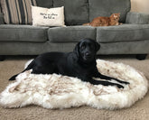 Super Conformable And Washable Mat For Your Pet Dog