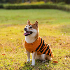 Amazing Halloween costume Perfect For Your Dog
