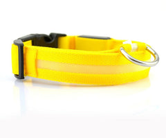 Fantastic Dog Leash With Built-In Night Safety Glow Lights