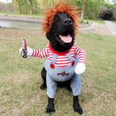Most Funniest And Adjustable Dog Costume