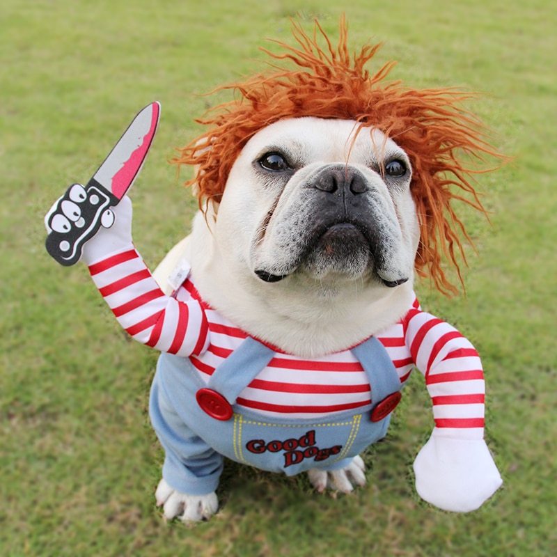Most Funniest And Adjustable Dog Costume