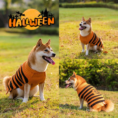 Amazing Halloween costume Perfect For Your Dog