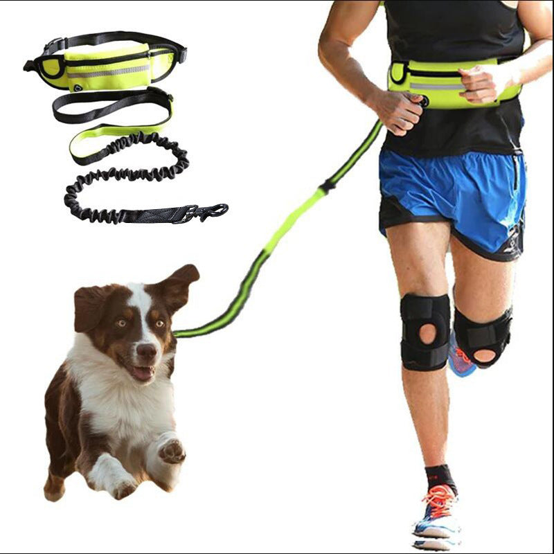 Jog With Your Dog - Super Comfortable Hands Free Dog Leash