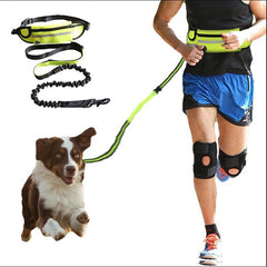 Jog With Your Dog - Super Comfortable Hands Free Dog Leash