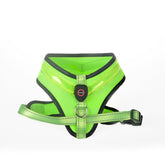 Fantastic Dog Vest With Built-In Led Lights