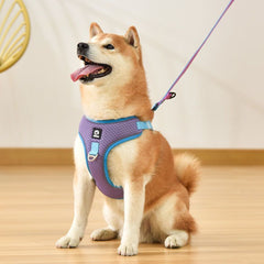 Fantastic And Adjustable Easy To Use Dog Leash