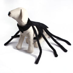 Fantastic Spider Costume For Your Dogs