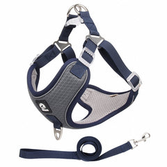 Fantastic And Adjustable Easy To Use Dog Leash