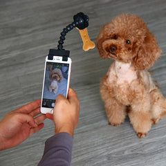 Amazing Treat Holder For Perfect Dog Selfies.