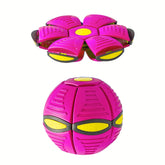 Flying Saucer Disc Dog Toy
