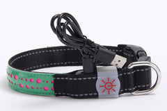 Fantastic And Adjustable Dog Collar With Built-in Led Light