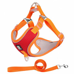 Fantastic And Adjustable Easy To Use Dog Leash