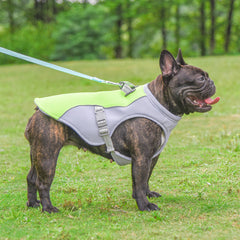 Most Amazing Dog Cooling Vest With Built-In Heat Resistant