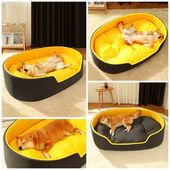 Fabulous Dog Sofa For All Seasons