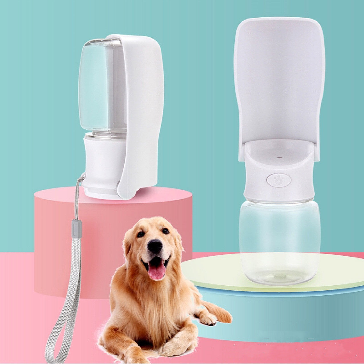 Most-Amazing And Foldable Water Dispenser For pups
