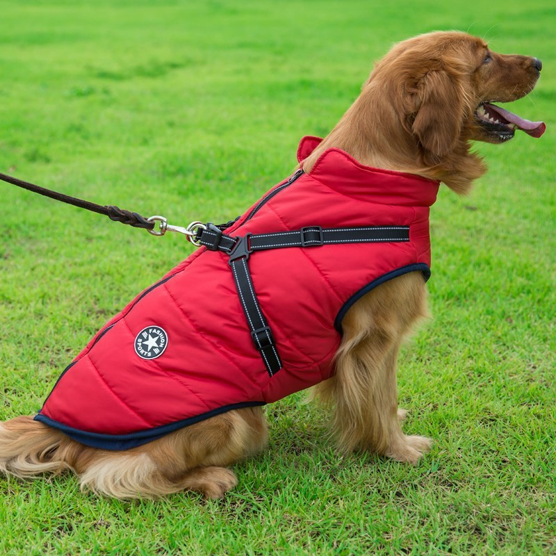 Amazing Cotton Vest Perfect For Winter Season