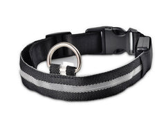 Fantastic Dog Leash With Built-In Night Safety Glow Lights