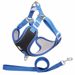 Fantastic And Adjustable Easy To Use Dog Leash