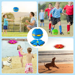Amazing Flying Ball Perfect For Your Furry Friend