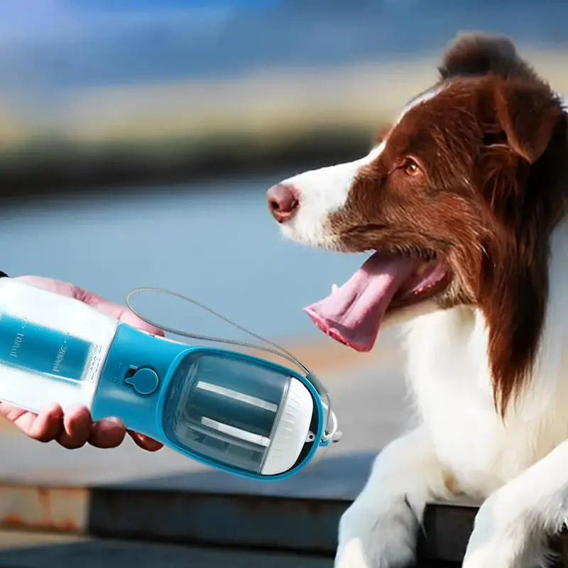 3 In 1 Outdoor Portable Dog Food And Water Feeder