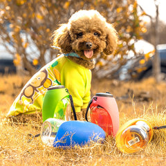 Most Amazing Dog Water Feeder For Large And Small Dogs
