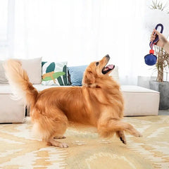 Amazing Dog Chewing Toy