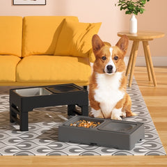 2-1 Fantastic Food And Water Feeding Bowls Perfect For Your Pet Dogs